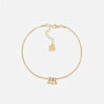 Chaîne de cheville Regolo (Acier doré)